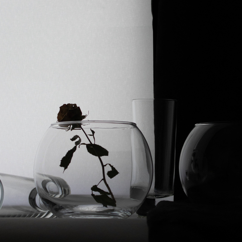 Photo #13923552