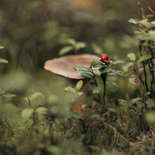 Photo #13923565