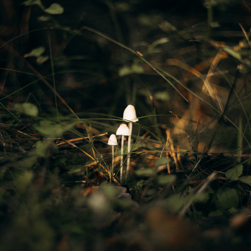 Photo #13923566