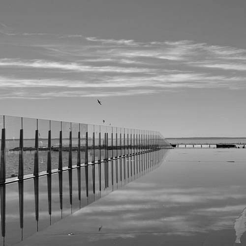 Photo #13923597