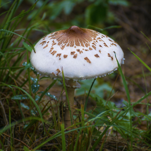 Photo #13923638