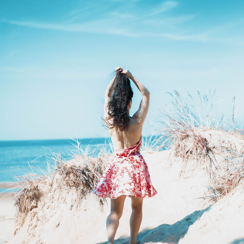 Photo #13923694