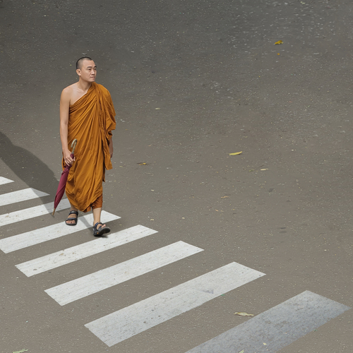 Photo #13923816