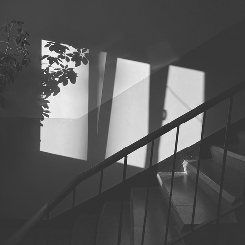 Photo #13923832