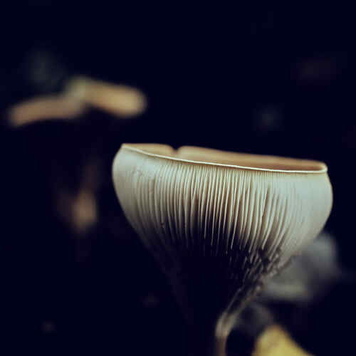 Photo #13923993