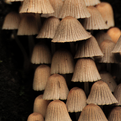 Photo #13923998