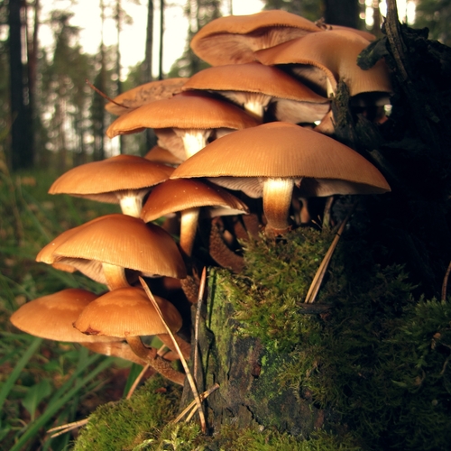 Photo #13924010