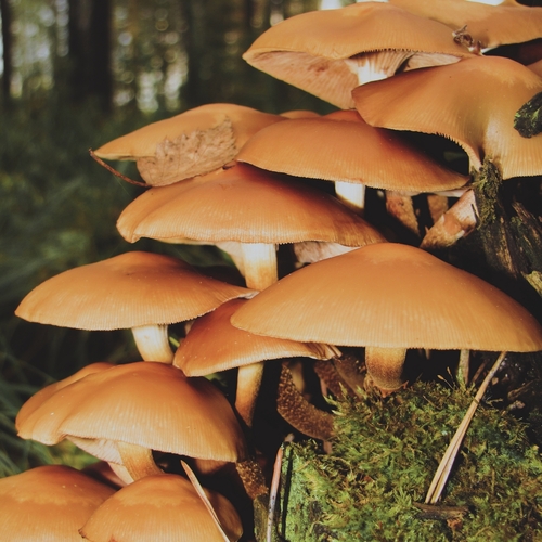 Photo #13924011