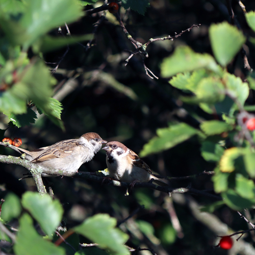 Photo #13924025