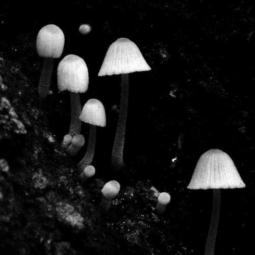 Photo #13924059