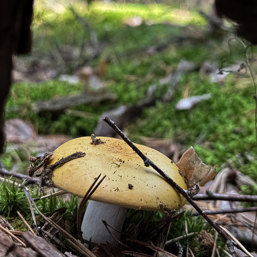 Photo #13924139