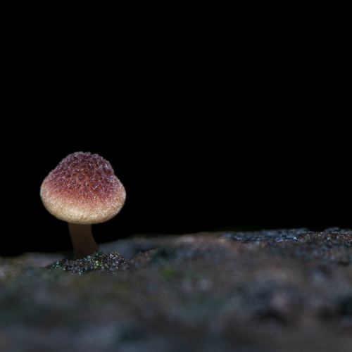 Photo #13924214