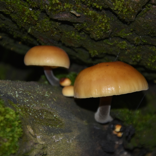 Photo #13924226