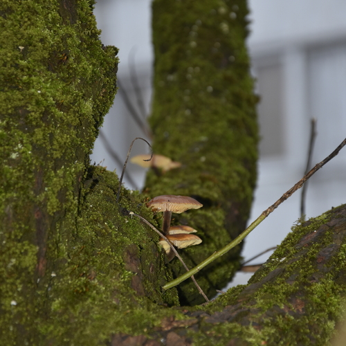 Photo #13924228