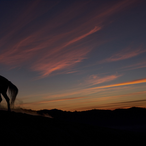 Photo #13924230