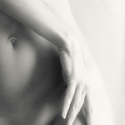 Photo #13924283