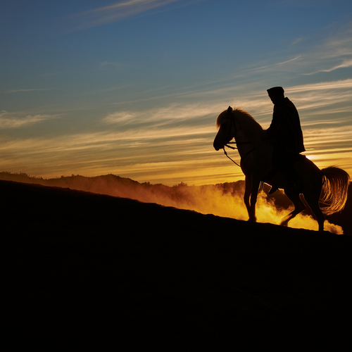Photo #13924309