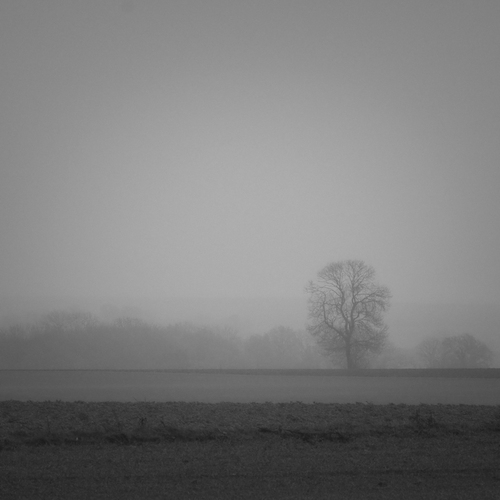 Фотография #13924374