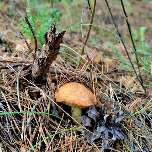 Photo #13924486