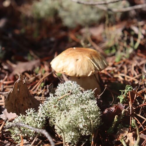 Photo #13924545