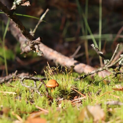 Photo #13924548
