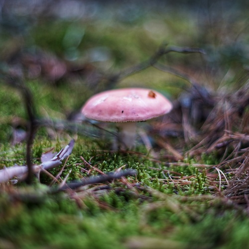 Photo #13924623