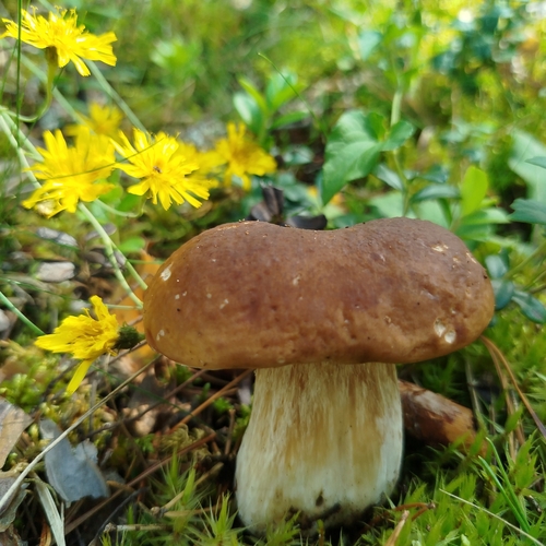 Photo #13924762