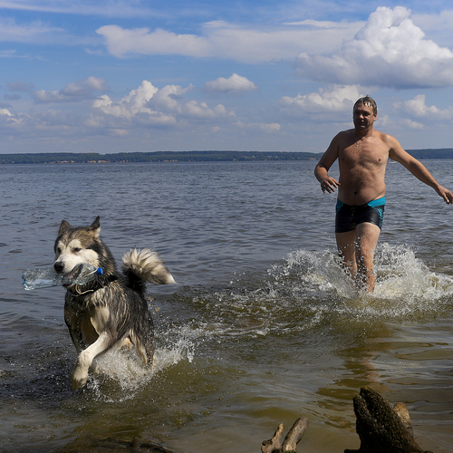 Photo #13924774