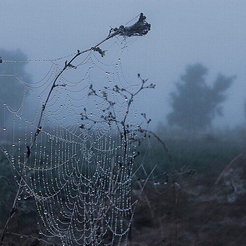Photo #13924808
