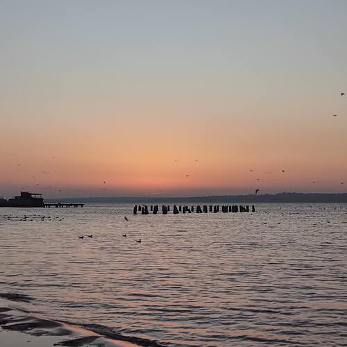 Photo #13924810