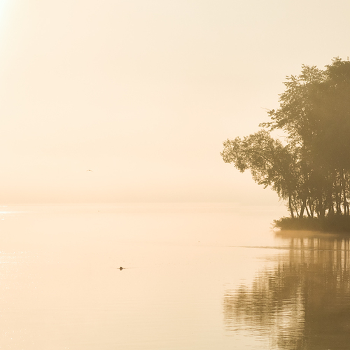morning light
