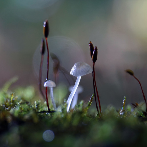 Photo #13924871