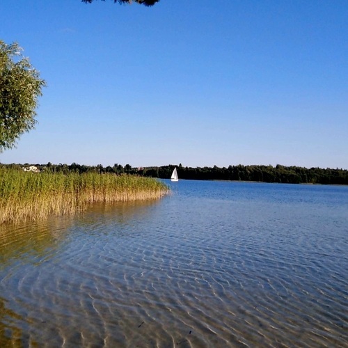 Photo #13924888