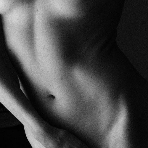 Symphony of Lines