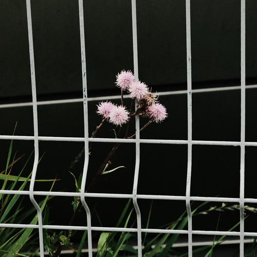 Photo #13925061