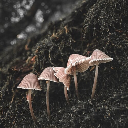 Photo #13925089