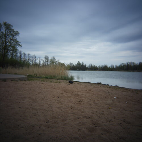 Photo #13925111