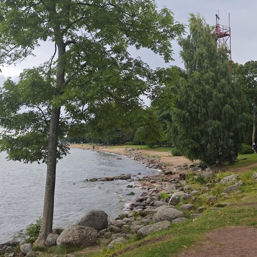 Photo #13925317