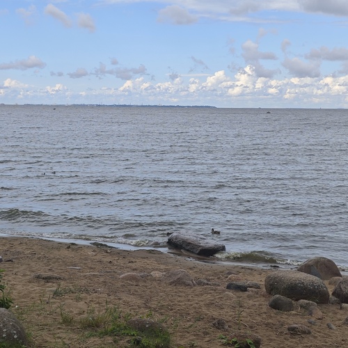 Photo #13925319
