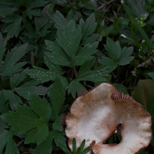 Photo #13925442