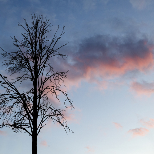 Photo #13925533
