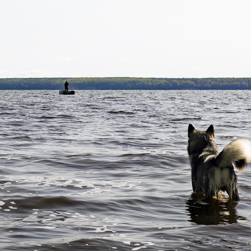 Photo #13925659