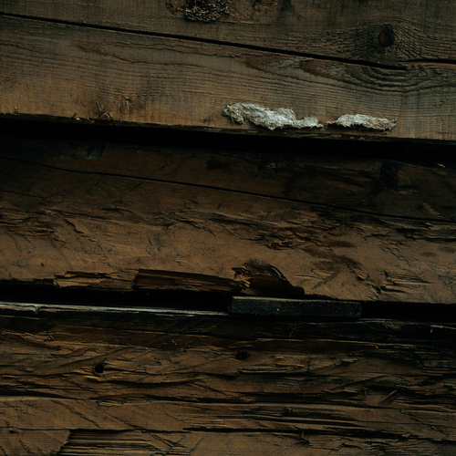 Photo #13925859