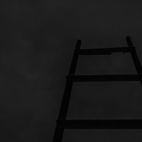 Photo #13925891