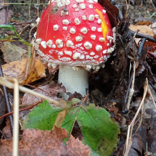 Photo #13925922
