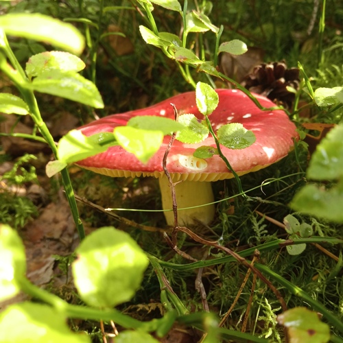 Photo #13925925