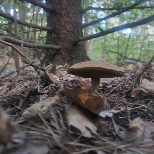 Photo #13926169