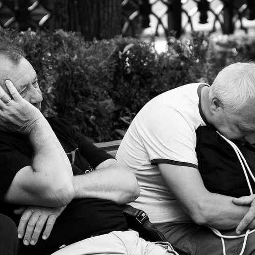 Photo #13926322