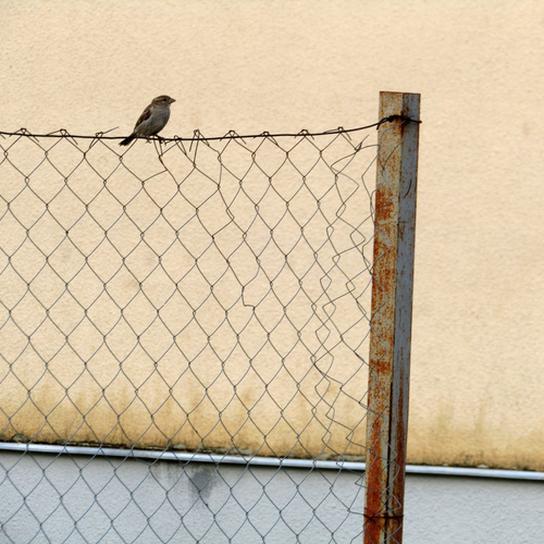 Photo #13926362