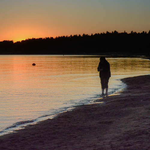 Photo #13926382
